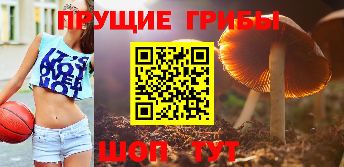 Галлюциногенные грибы мицелий  Вход с VPN  Туапсе 